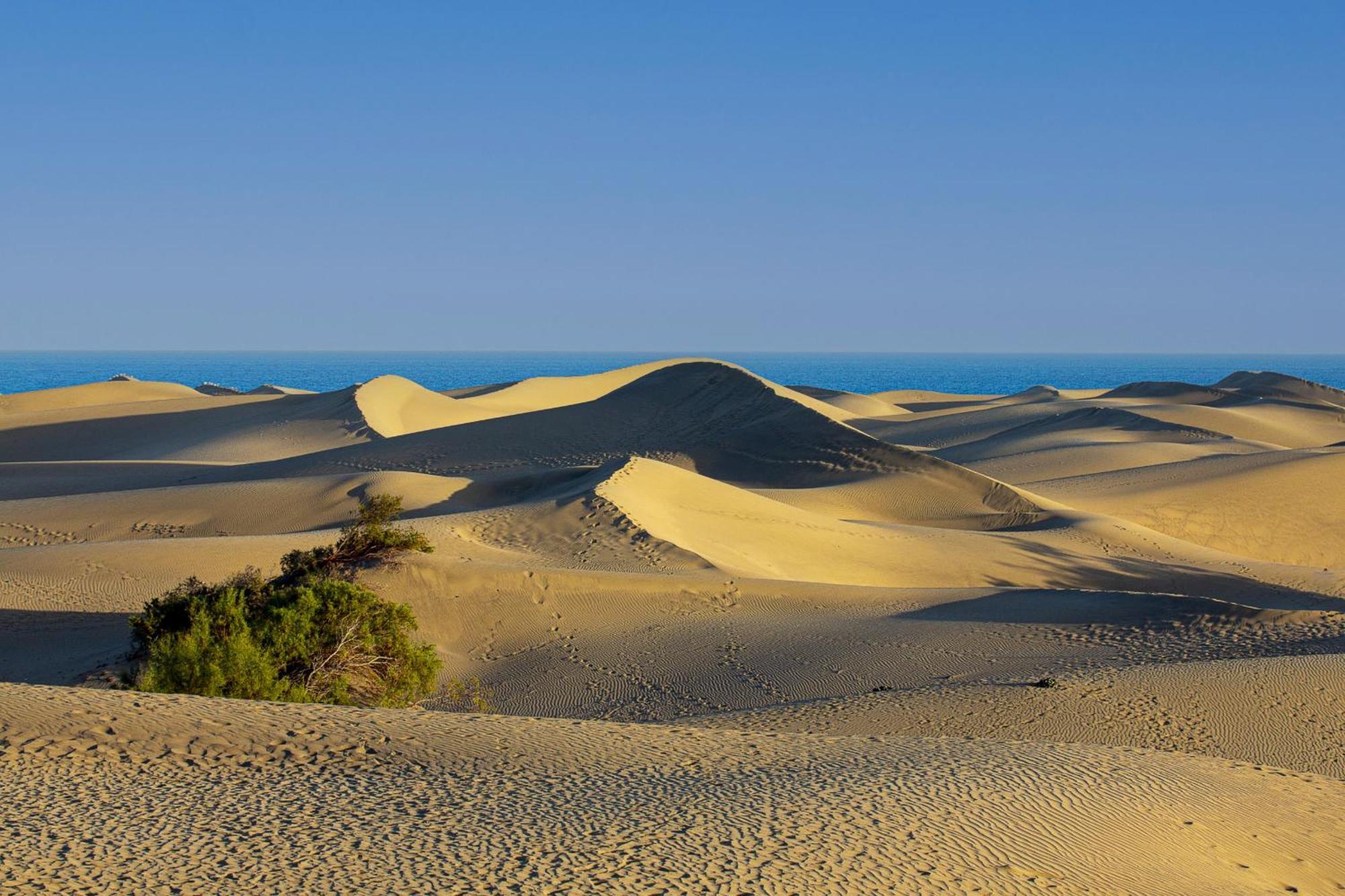 Nice 2 Bedroom Close To The Beach In Maspalomas Playa del Inglés Eksteriør bilde